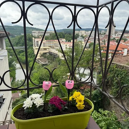 сотирови Weliko Tarnowo